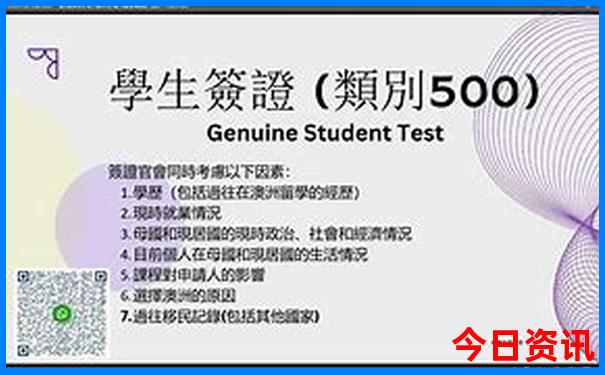 半自由行怎么报团